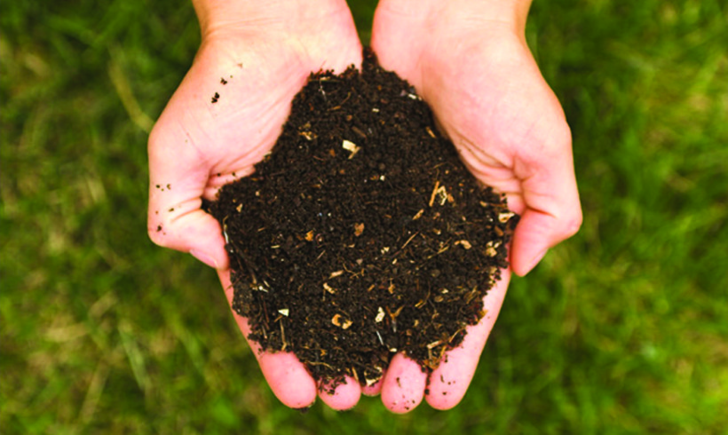 what-can-you-compost-new-soil